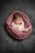 neugeborene-fotografin-baby-newborn-nuernberg-fuerth-erlangen-herzogenaurach-cadolzburg-familie-bild